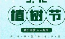 盘点植树节的优美句子，让绿色成为人间最美的颜色