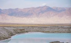 秋冬季节必备的温柔文案，为您的发圈增添温馨氛围