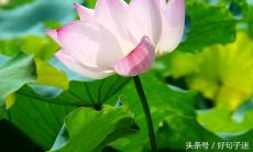 阅读有镇静效果的有趣语句，它们可以使人们放松心情和减轻压力