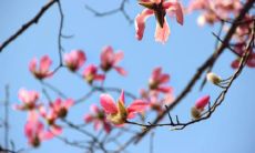 如何使用短信刷存在感？探索最佳问候语的技巧