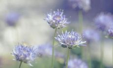 一些令人感到无比开心的幸福句子，能增进你的心情和快乐感受