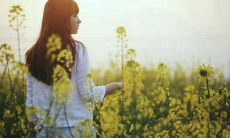 探讨清明节祭扫祖先及传统文化意义的深度分析：关于清明节上坟的必要性和重要性