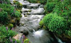 39句有趣的清明节说说，让你轻松度过这个传统节日