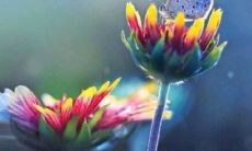 如何设计英语节口号征集活动的装饰元素，让它更加吸引人并增强活动的视觉效果？