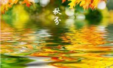 享受浪漫气息的秋分——一组饱含深情句式