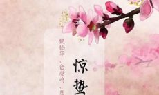 惊蛰节气已至，你为何不发朋友圈分享这个春天的美好时光呢？