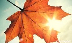 一条问候中午用餐的短信