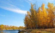无法入眠，心烦意乱的漫长夜晚：探寻失眠症状下的心理状态