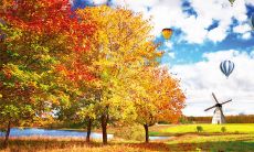 如何撰写一封适合群发的个性化问候短信？