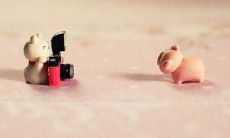 一百个光棍节开心的句子，分享给你让你在单身派对中过得愉快！