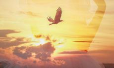 20个充满喜悦和幸福的美好心情的短语