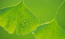 探寻亲情之美的几句诗歌或引语：感恩无尽记亲情，谊重于金重于钱；爱和陪伴，是亲情的语言；亲情是一块稳固的基石，支撑着我们走过困难和挫折；在亲情的怀抱中，我们心灵得到了最温暖的庇护；亲情是最珍贵的财产，也是我们最美好的根基