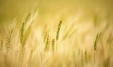 探寻亲情之美：精选值得怀念的经典亲情名句