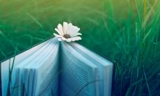 用抒情句子表达关于幸福的感受，唤起内心的温暖和美好体验