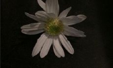 用简短语言表达伤感情感的微博标题