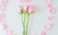 关于轻松自然的恋爱，聊聊小清新的思考与感悟