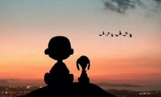 沉浸在情感的海洋中：一系列让你共鸣的抒情句子