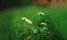 一份浓郁温馨的亲情情感：盘点让人感动且优美的亲情句子