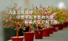 阔别《口红一哥》4年后，卡其色彩嘉宾牵手陈飞宇，春夏最美CP闪耀萤火，告诉你如何用1个抖音吸引数百万关注，引领你掌握抖音热门句子，让你的账号轻松上热门！