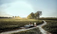 如何在每天开始时用积极的态度开启全新的一天：分享你的见解和经验！