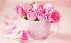 想送给男生暖心的话却又不想太长？这里有一些简短的建议！