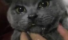 让人痛心扼腕的刻骨铭心的语句