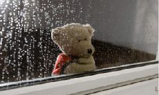 遗憾错过的伤感句子集锦：悔恨与惋惜交织的句子，流着泪才能读完的感言