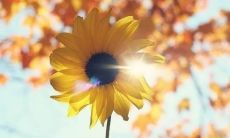 从新起航的壮志凌云句子：修正态度整理心情，重新出发的坚定决心