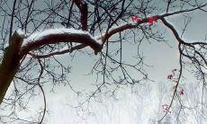 不要欺骗友情：探讨如何避免对友谊的伤害和维护良好的人际关系