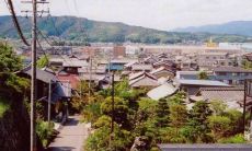 分享和同伴玩耍时快乐的心情以及愉悦的话语