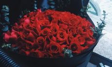 情人节祝福语：爱意满满的献给我深爱的妻子，让我们携手共度浪漫之夜！