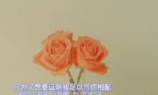 抖音上风靡一时的小众情话：温柔如神仙的文案，火速走红！