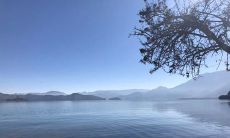 深度探讨友情，揭示灵魂之间的情感纽带：一系列关于友谊的思考和表达