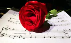 展现优雅知性：高水准的文案创造与实践方法