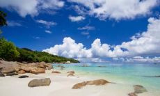 被繁荣月份所激励：汇编了在诗经中描绘亲情的绝妙语句