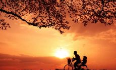 探究家庭亲情的深层含义，带有丰富内涵的感人语句