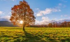 分享一些让人感到欢愉的话语来表达心情喜悦