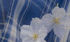 分享三观超正的言论集合，让你重新审视生活世界的美好与真理