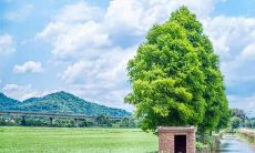 幼儿脸上洋溢着幸福的笑容，表达着内心无尽的愉悦和满足感的美妙句子