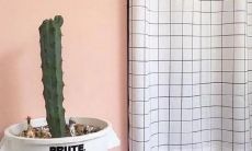 教你成为霸气人生赢家的励志短语，让你永不停歇、永不放弃！