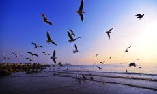 自由的意义和实践-探究个体权利以及社会责任的合理平衡