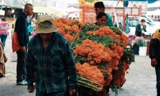 一些令人感伤且表现出缺乏安全感的句子