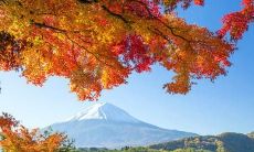 四季循环，春花秋月，冬雪夏日——四季轮回的构成句子