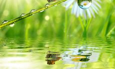 欢迎秋分来到，为你带来美好祝福的问候短信