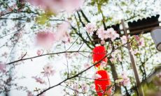 沉醉于欢愉和喜悦中的经典古风语句——关于快乐的古文佳句