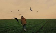 Stunningly Beautiful English Phrases to Elevate Your Writing and Speech with Eloquent Expressions