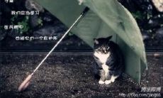 男性心碎婚姻失落的令人痛心的说法