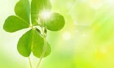 一路寻幸福——优美幸福句子的探究