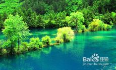 美丽的四月，鲜花盛开，阳光明媚，带给我们温暖和喜悦的句子汇集！