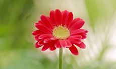 列举幼儿园开心玩耍的各种句子，让孩子们尽情挥洒活力！